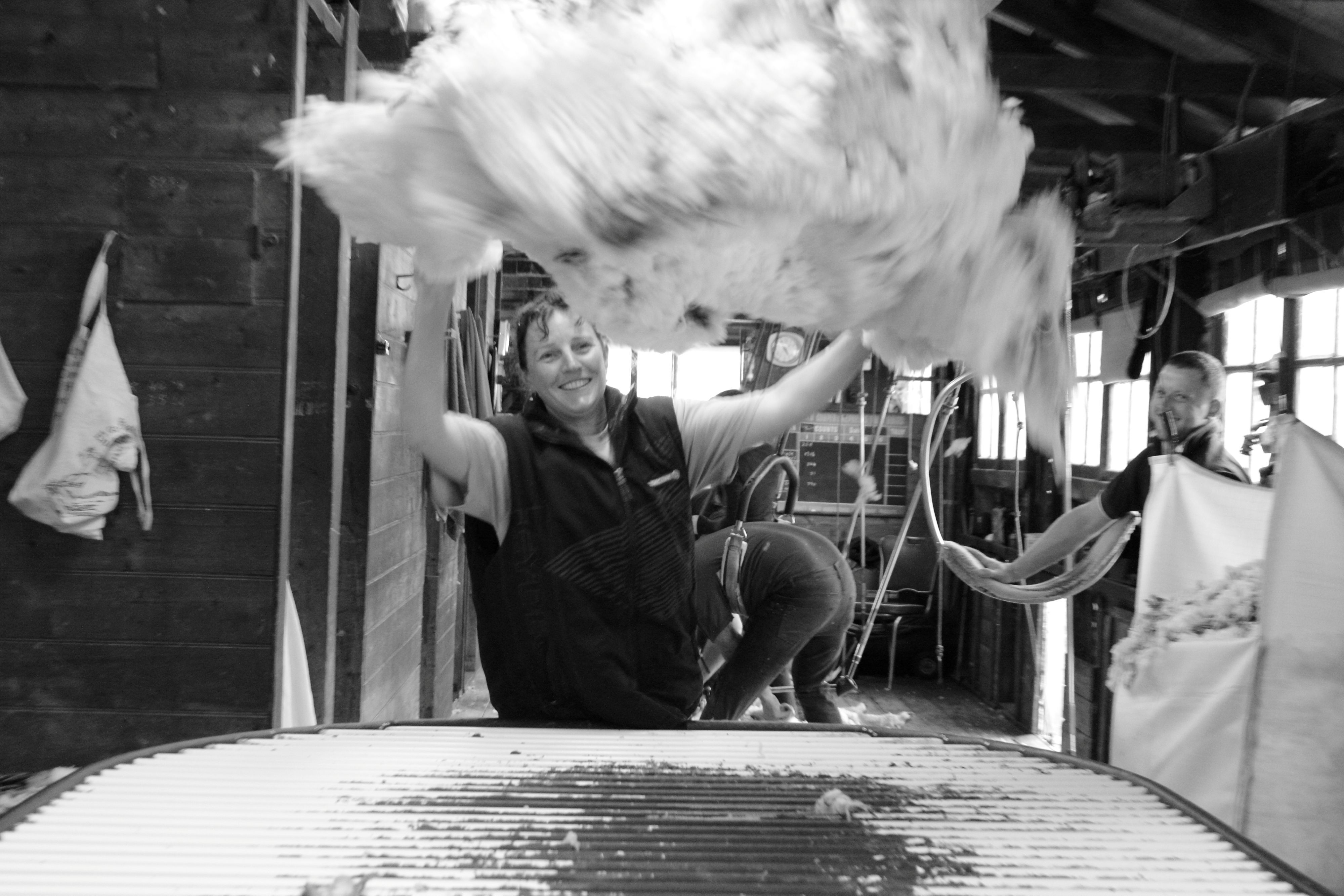 Raelene Laidlaw weaves her story into Australian Wool history