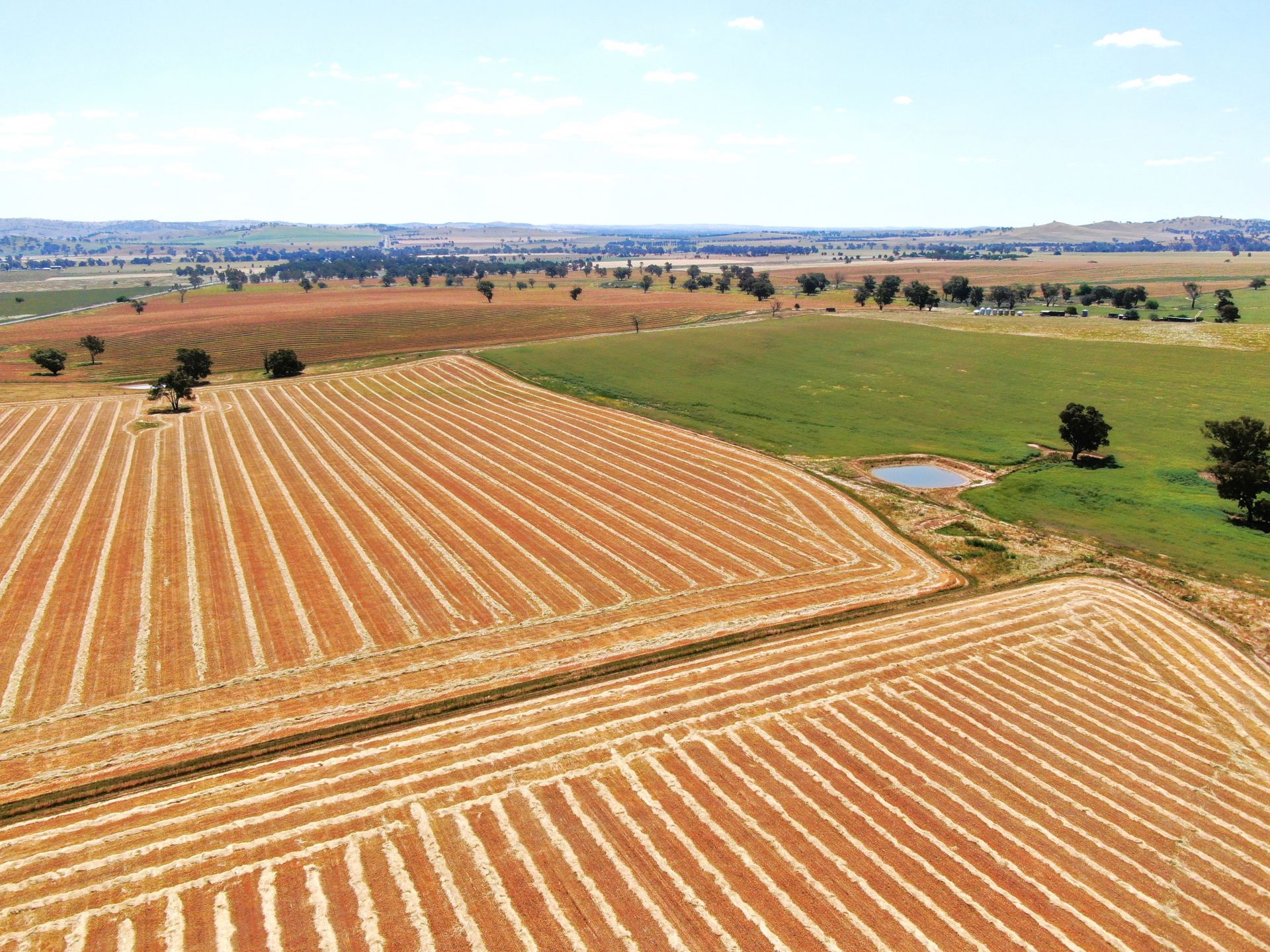 Property Roundup: Roma property relisted for $27.5m, Junee ‘turn-key’ expecting $30m offers