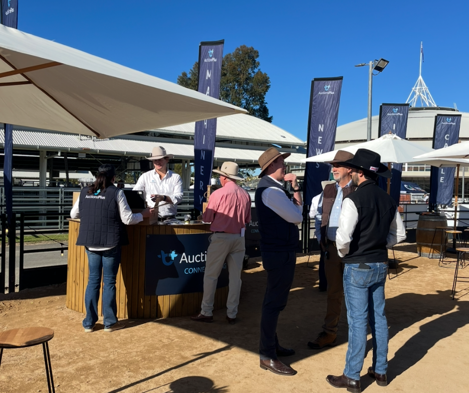 Global breeders compare notes at World Angus Forum