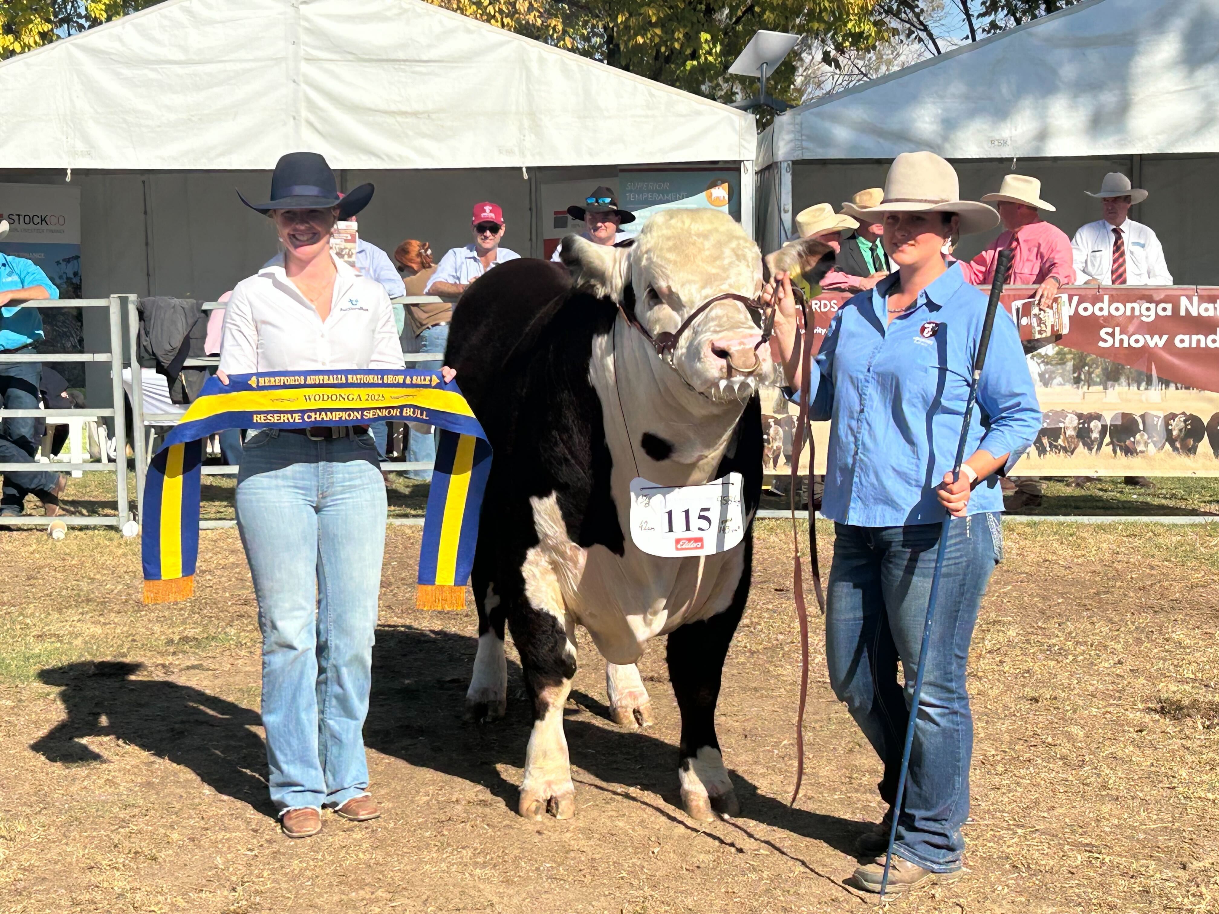 Oak Hill Universal U009 dominates competition at 60th Herefords Australia National Show & Sale